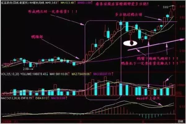 一旦中国股市出现老鸭头，永远不用想太多，只需要买买买!