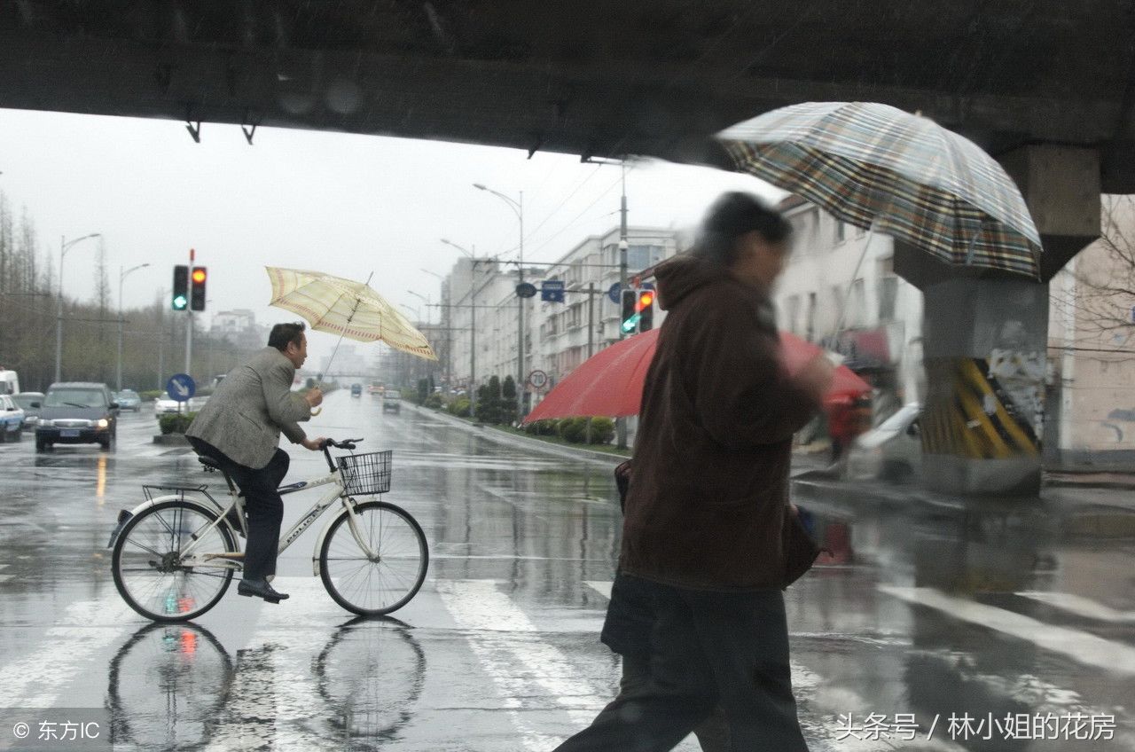 2018夏天的雨季还会像从前那样肆虐吗?