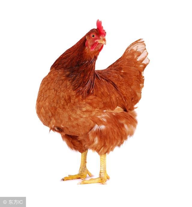 这3生肖女,手上从来不缺钱,但对自己很抠,对“别人”却很大方