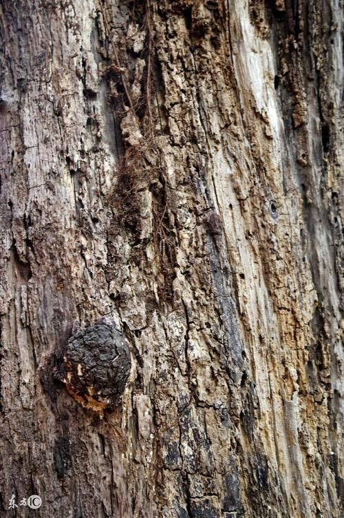 真实抗癌经历:肺癌晚期,医生让回家等死,却奇迹