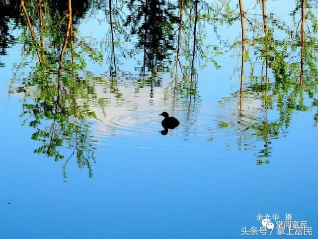水中倒影，美到极致