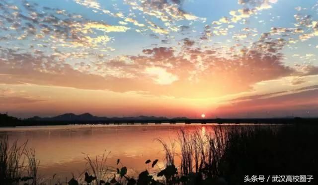 武汉30个春游免费景点大集合!踏青、骑行、拍照来这里就对了!