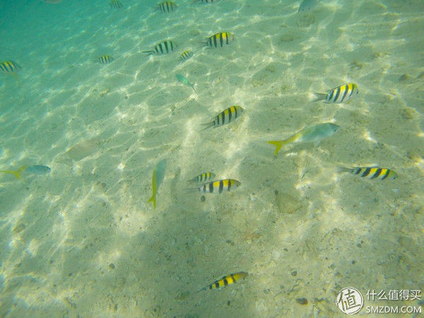 头脑一热，去马来西亚热浪岛了