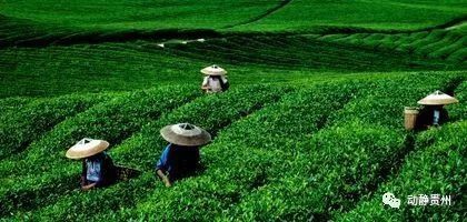 州又得了个全国第一,这14个县通过国家认证,看