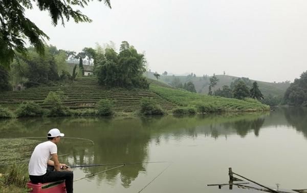天气太热,草鱼这么钓太牛了,不给满分都不行