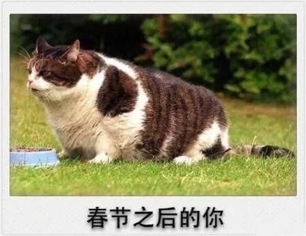 冷空气正在登陆湖南!这场雨要一直下到元宵?更虐心的还在后面…