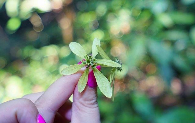 7天6晚，玩转傣历新年泼水盛会