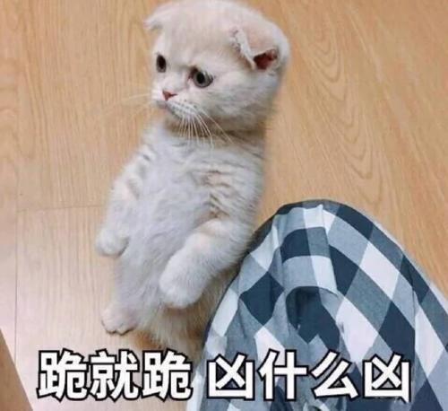 超霸气表情:自己来求我臭渣男,告辞1,我这一走难难难表情包图片