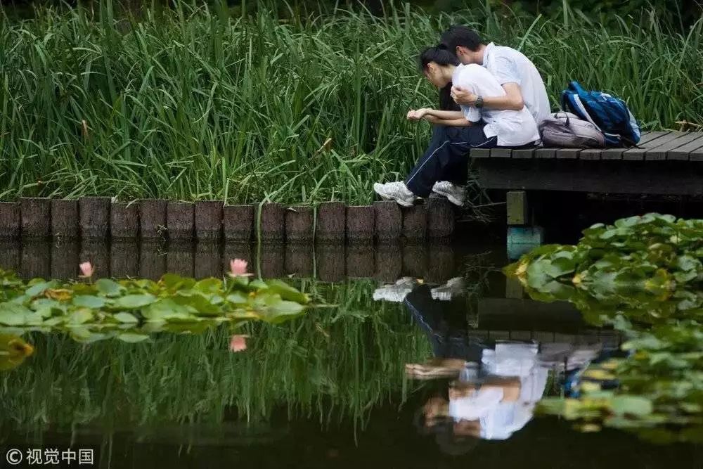 旗帜鲜明地支持早恋