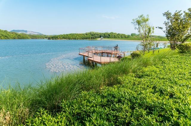 金陵十一大最美湖景豪宅曝光!这才是南京人该住的房子!