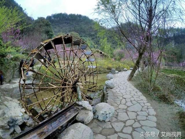 酉阳桃花源这里真的是人间的世外桃源! 建议你一辈子一定要去一次