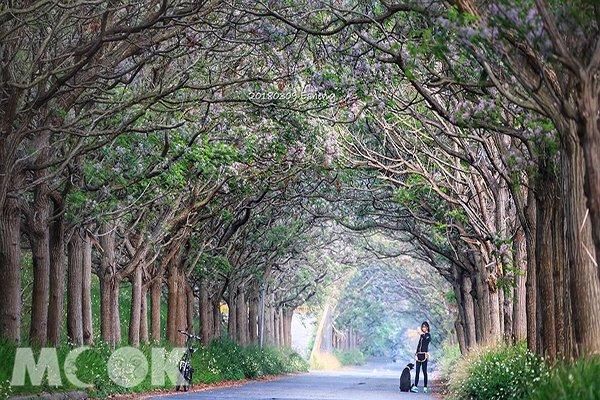 情侣打卡放闪必收 全台五大浪漫景点