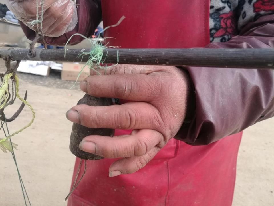 万大妈零下七度赶集卖海鲜 小编成就她的生意