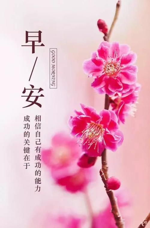 2018早安激励人心的励志经典语句,句句鼓励人