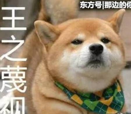 欢笑集锦:老李被媳妇管的很严,整日郁闷 博九在线娱乐