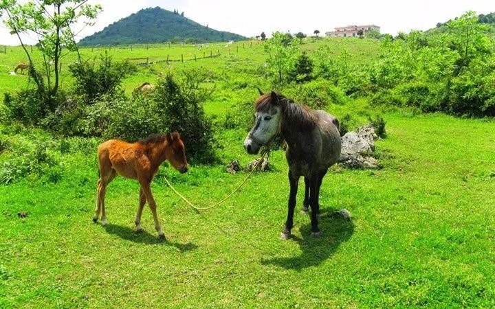 中国湖北居然隐藏了一个旷世仙境 让外国人都为它折服