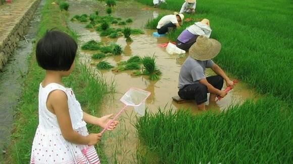 农村人说农村事，农村人真的淳朴吗？