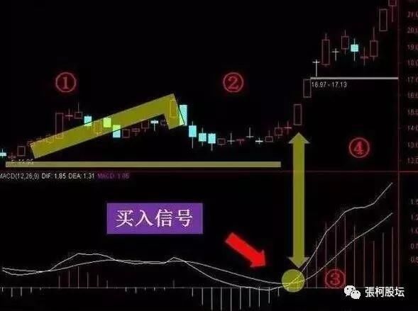 20年老股明的压箱底MACD选股战法，伏击强势股精准率惊人，让你获