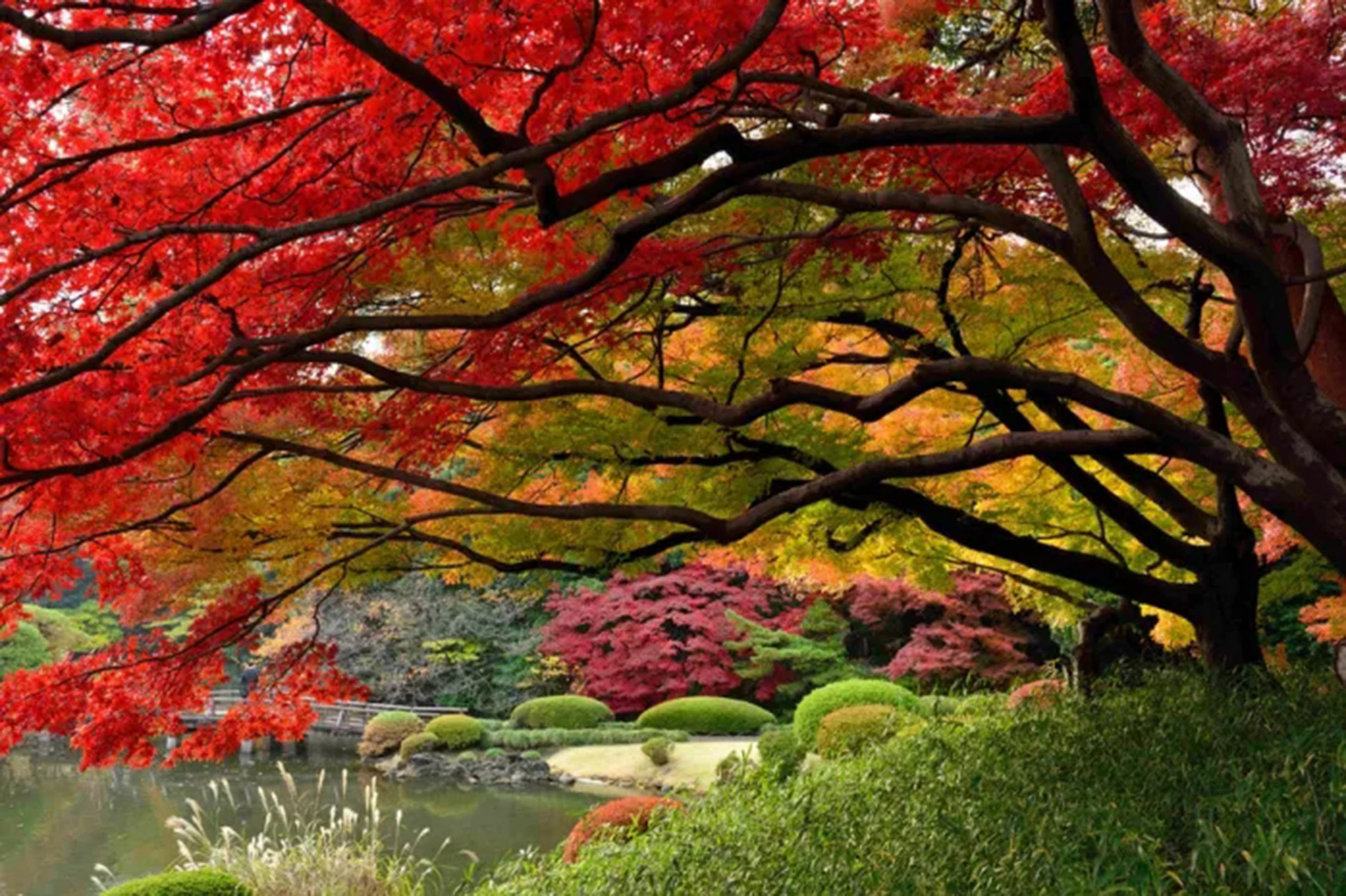 世界上最美的秋景,美的每一个你都想去看看!