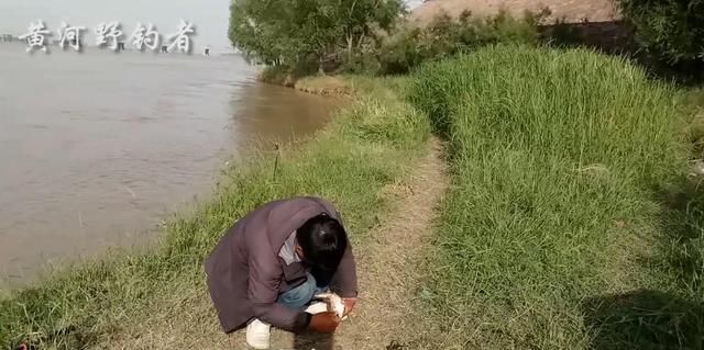 黄河野钓者波哥垂钓马渡,海竿串钩挂蚯蚓,上条