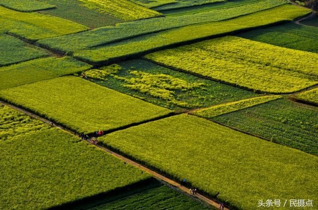 5月的云南美美滴-与大家一同分享云南旅游 摄影的景色