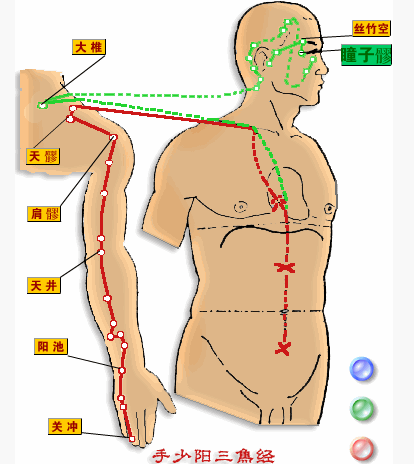 三焦经，人体最重要的一条经络，99%的人竟然不知道