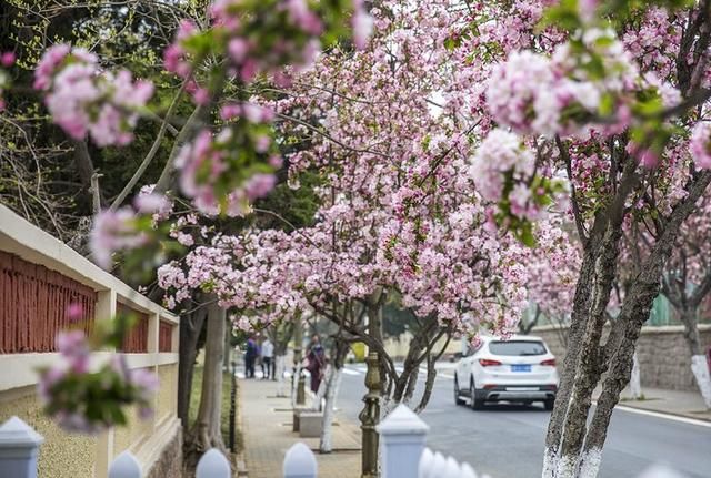 上合峰会让青岛更美丽，这个海滨异国风情浓郁的地方不容错过
