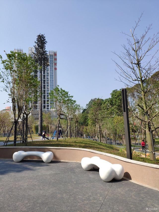 宠爱深圳首个宠物主题公园开放啦,假期领着毛