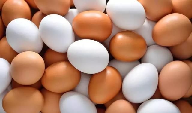 鸡蛋期货和市场价