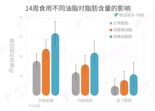 健身没用？减肥不成？那都是有理“油”的！