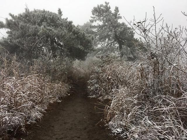 白色武功之龙山村-发云界-金顶-索道