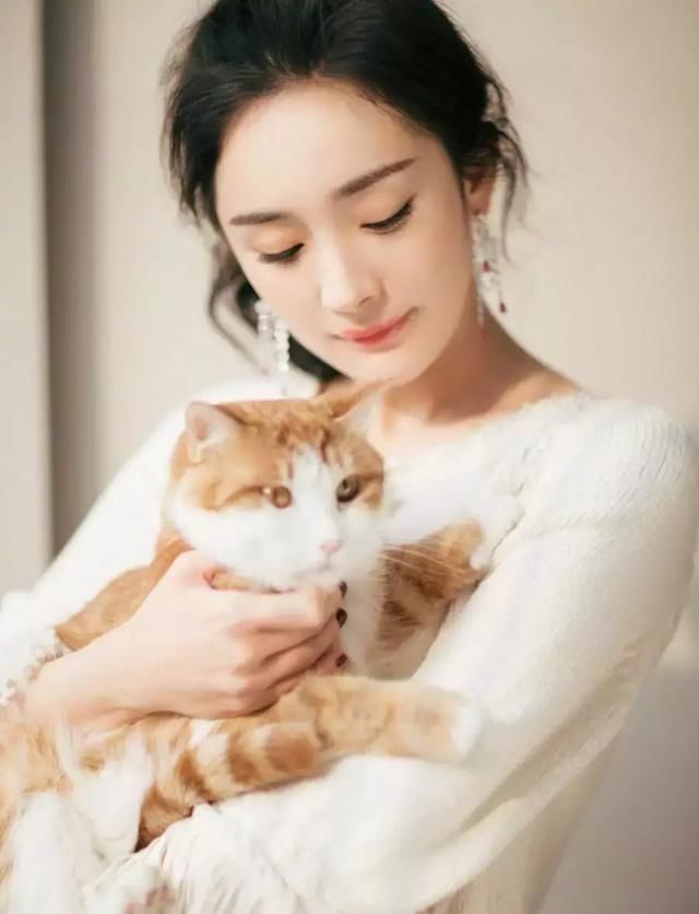 杨颖家的猫生了小猫问杨幂要不要,大幂幂的回