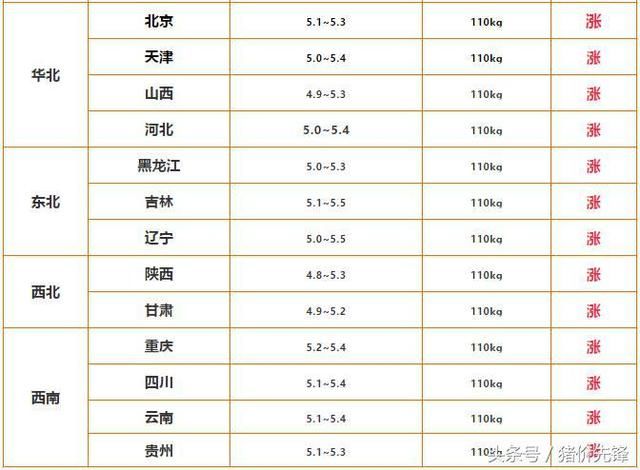 猪价继续给力上涨，一“飞”冲天，5块5已经不再是梦!