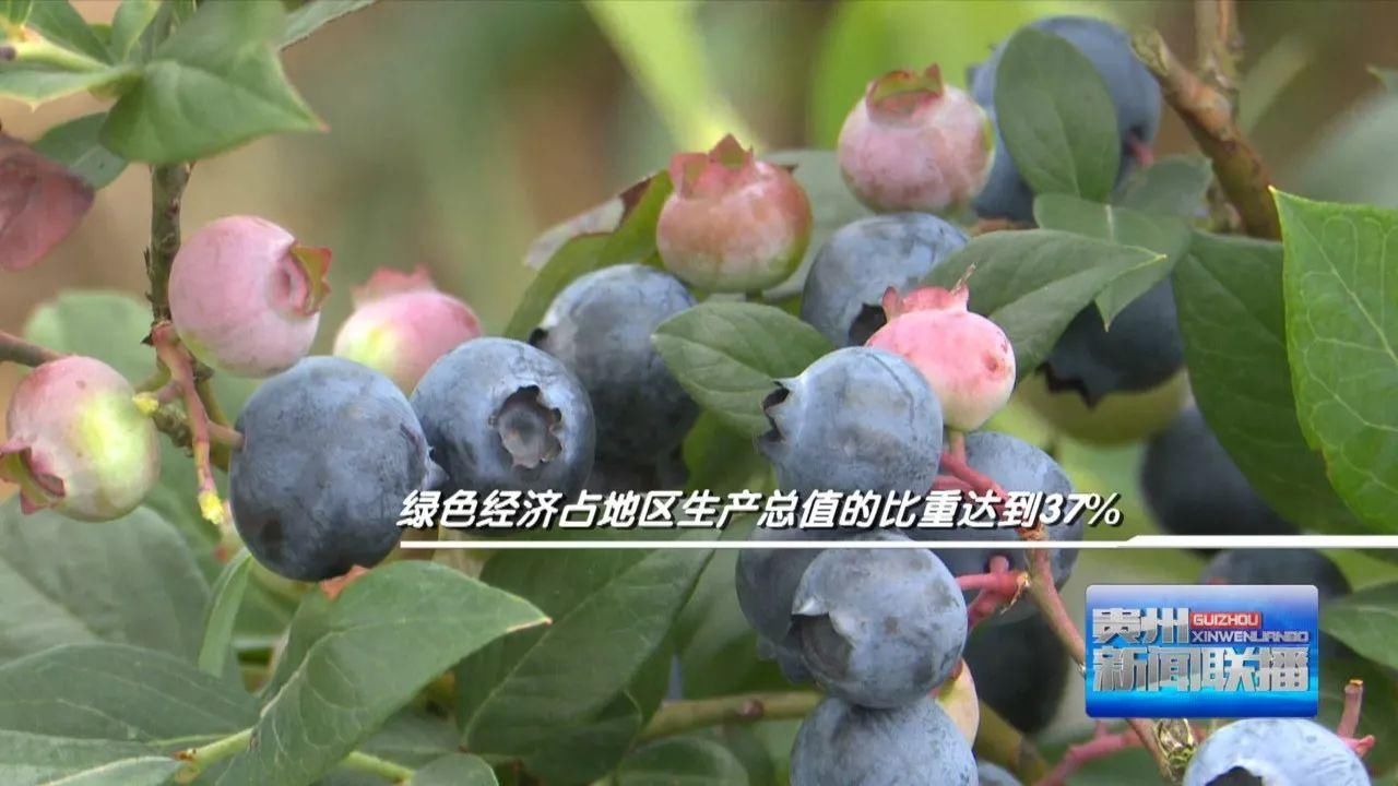 贵州省2017年集中开工重大项目1840个 总投资