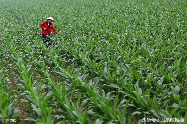 狗年热点大换班！,节能环保、航天军工、文化教育和互联网经济