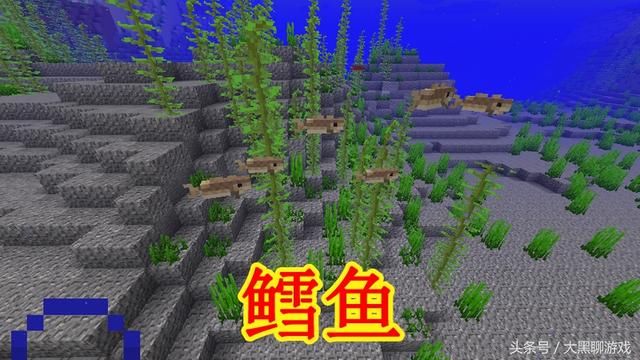 我的世界1.13最新版：新增1种最快生物、1种最矮生物和4种鱼类！