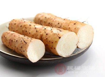 肾阳虚吃什么食物 6种食物有效缓解肾阳虚