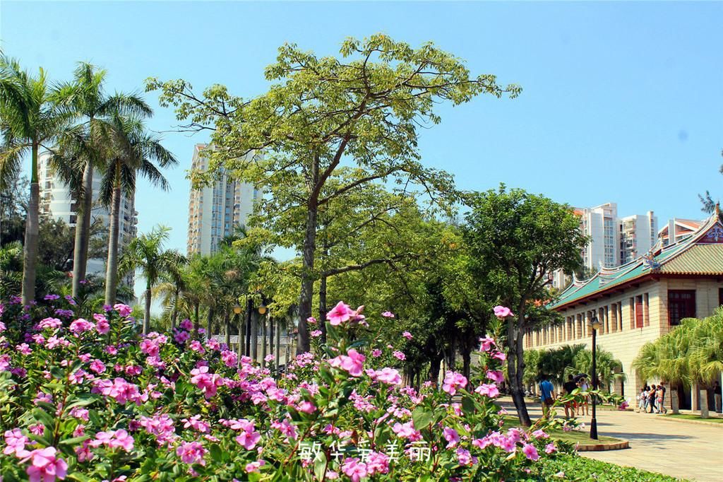 厦门市十五届人大五次会议