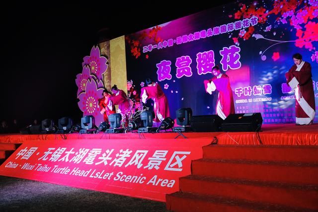 太湖鼋头渚夜赏樱花游园会:一场视觉与听觉的“饕餮盛宴”