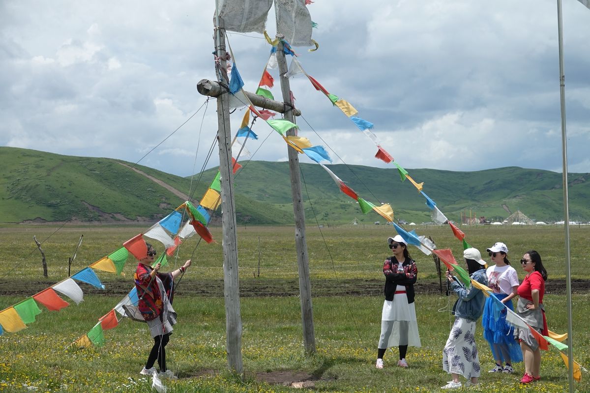 尽管近日四川天气不好 但阿坝若尔盖草原仍是