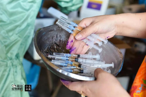 9.8疫苗日圆满成功!感谢所有义工辛苦付出!