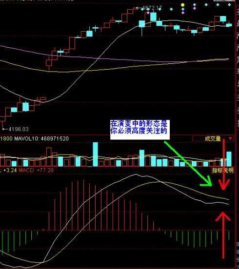 有无庄家的区别，教你怎么跟庄。