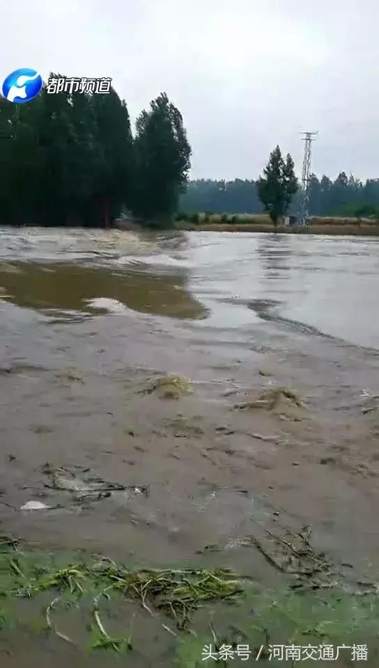 南阳突遭暴雨！淅川、邓州受灾严重，水深齐腰、房屋受损……