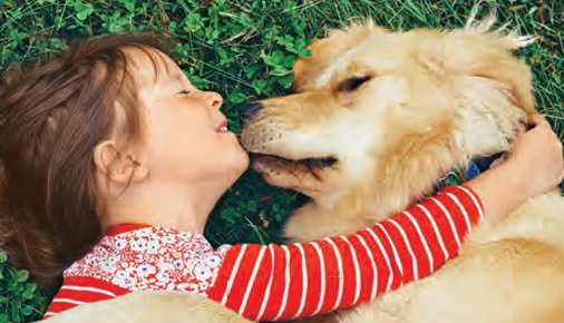 几个简单的小游戏,让宝宝越玩越聪明