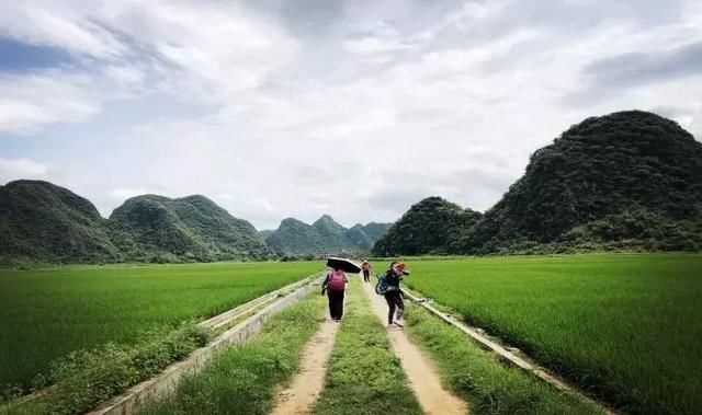 美美美美!广东罗定深藏着一个“世外桃源”般的田园~