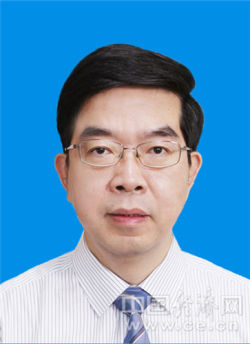 民进中央主席、副主席简历