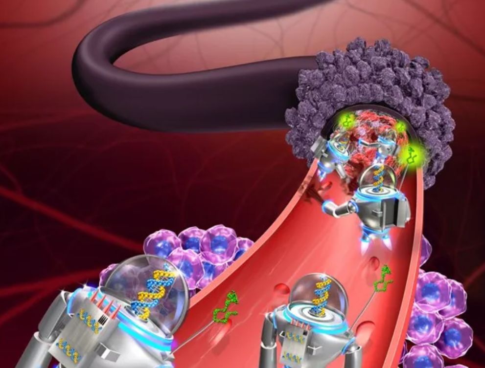 中科院最新纳米DNA机器人成功饿死小鼠肿瘤