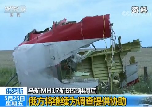 普京:要承认马航MH17航班调查结果 俄方得先有调查权