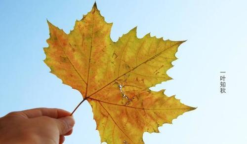 拜神戴叶吃西瓜,贴膘晒秋怕打雷--你不知道的立