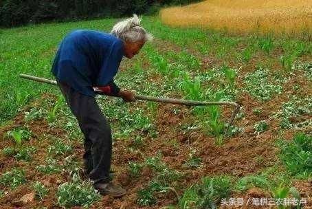 现在以及未来几年内，这2大难题农民都会遇到，如何解决值得深思